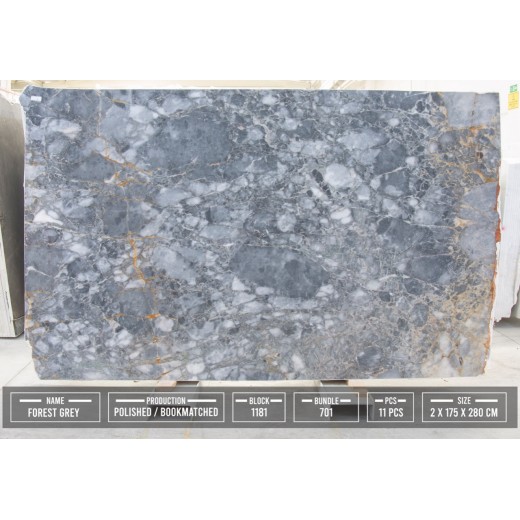 FOREST GREY SLABS