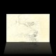 CALACATA - BLOCK N°140 THK