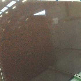 AFRICAN RED   10 cm