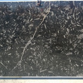 BLACK FOSSILE  2 cm