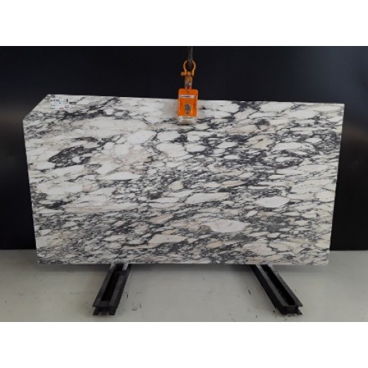 BRECCIA MALASPINA