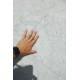 BIANCO CARRARA