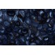 AGATA BLUE