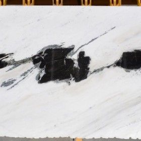 PANDA  2 cm