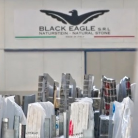 Black Eagle company introduction
