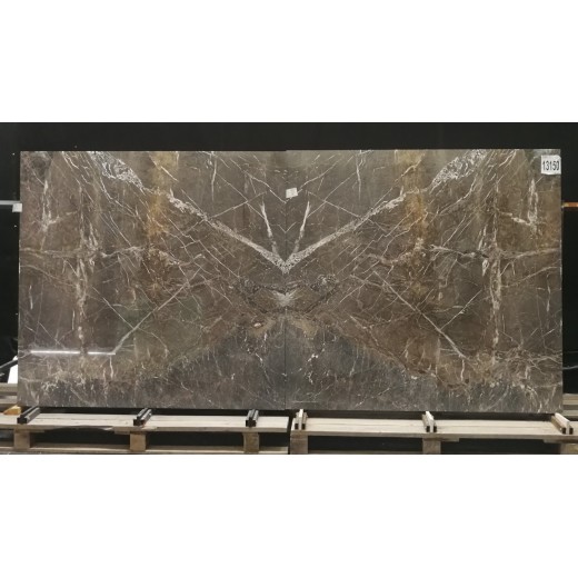 VEGA LIGHT