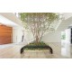 PERLA SANTANA / PROJECT