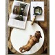 WOOD STONE / PROJECT