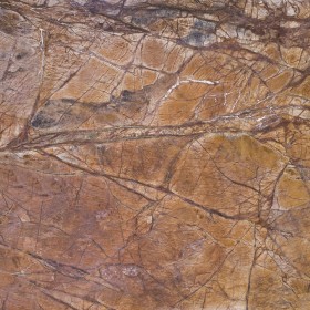 RAINFOREST BROWN  2 cm