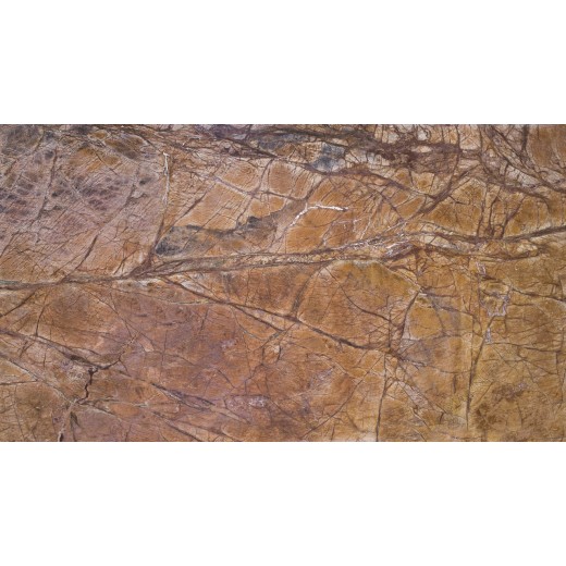 RAINFOREST BROWN