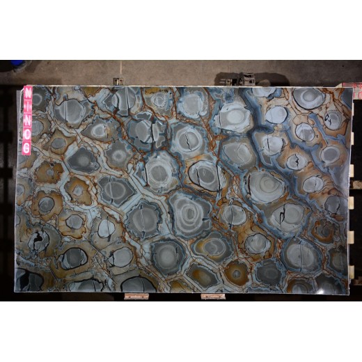 BRASILIAN FOSSIL